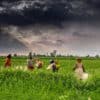 The great Indian Agrarian crisis